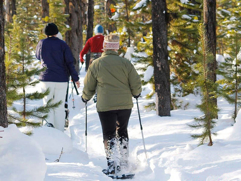 Station de ski Mont-Orignal coopérative de solidarité