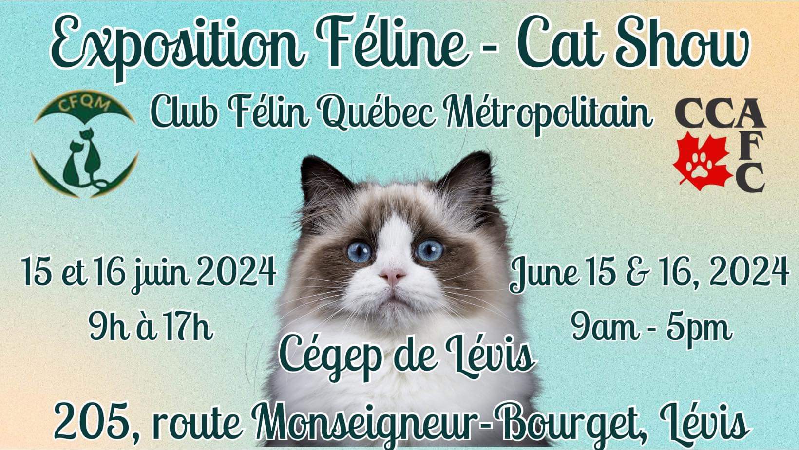Exposition Féline
