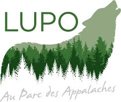 Sanctuaire de loups Lupo