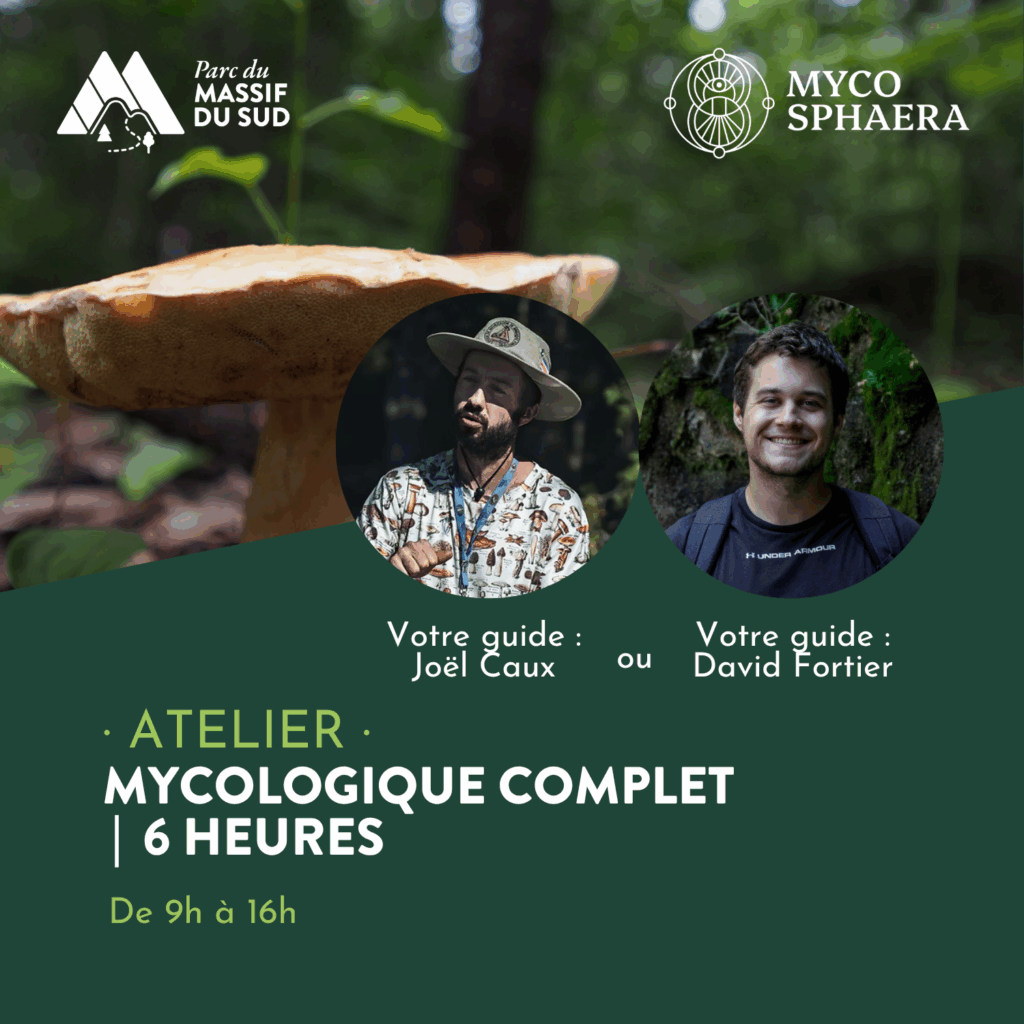 Atelier mycologique