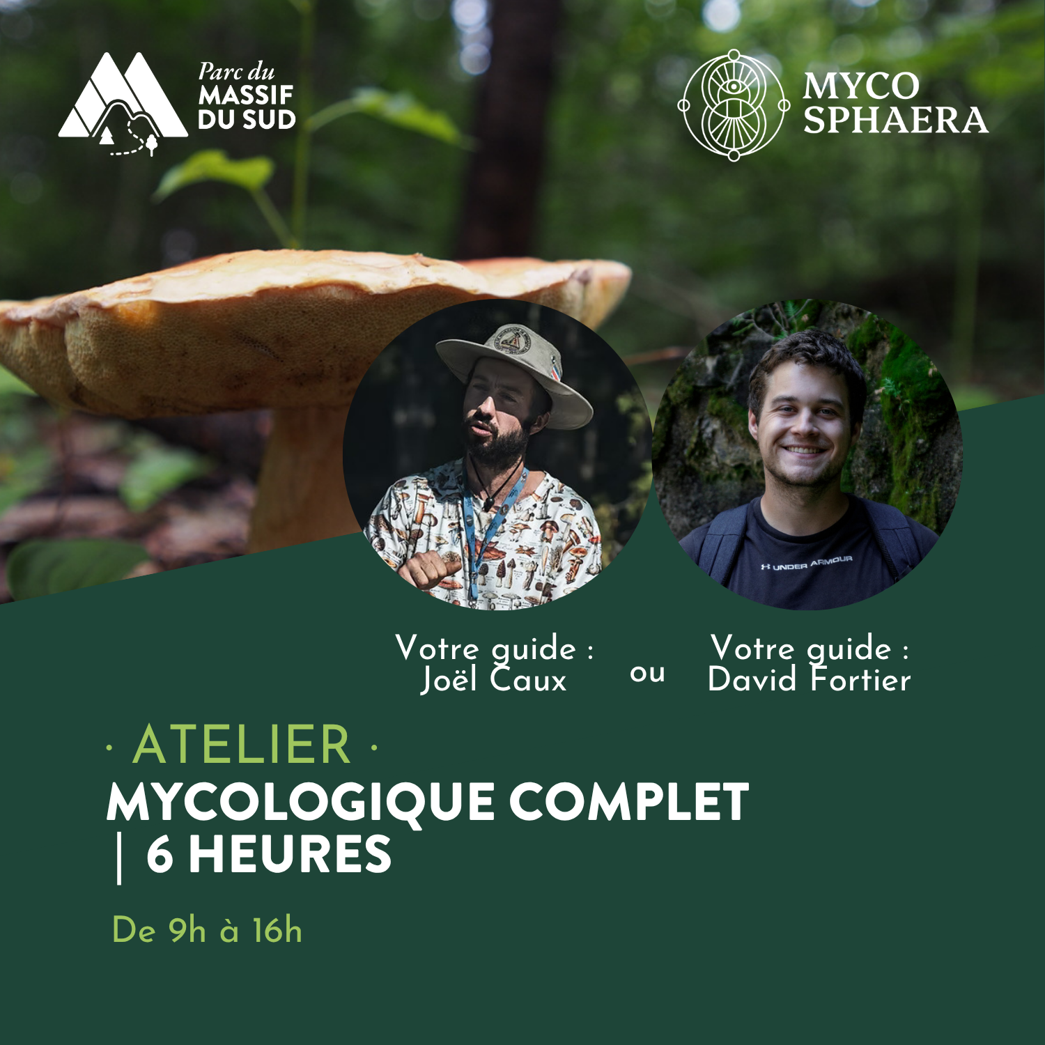 Atelier mycologique